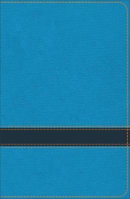 KJV Study Bible for Boys Ocean/Navy LeatherTouch (Leather / fine binding)