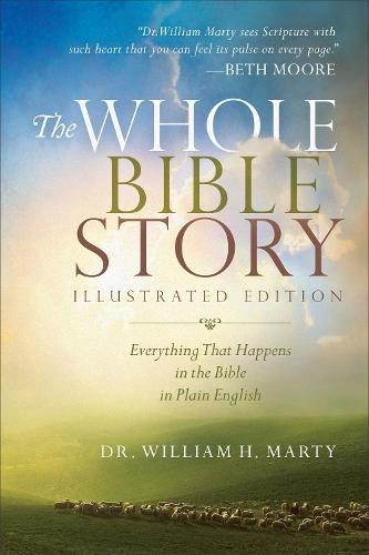 The Whole Bible Story – Everything That Happens in the Bible in Plain English (Paperback)