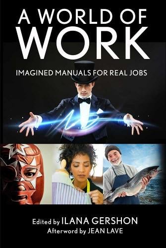 A World of Work: Imagined Manuals for Real Jobs (Hardback)