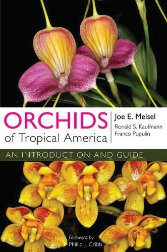 Orchids of Tropical America: An Introduction and Guide (Paperback)