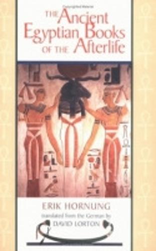 The Ancient Egyptian Books of the Afterlife (Paperback)
