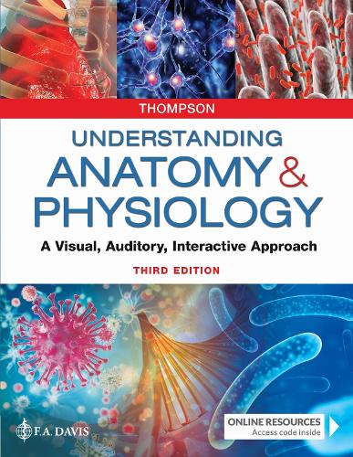 Understanding Anatomy & Physiology: A Visual, Auditory, Interactive Approach (Paperback)