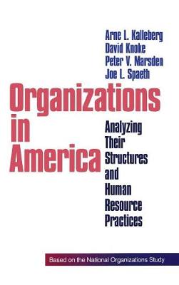 Organizations in America: Analysing Their Structures and Human Resource Practices (Hardback)