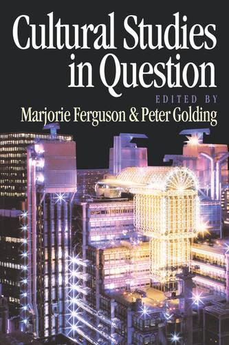 Cultural Studies in Question (Paperback)