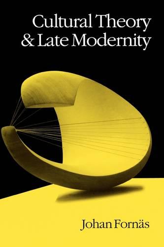 Cultural Theory and Late Modernity (Paperback)