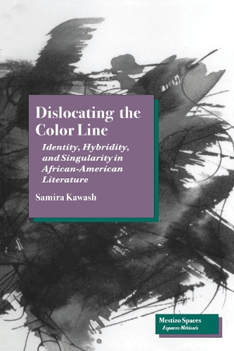 Dislocating the Color Line: Identity, Hybridity, and Singularity in African-American Narrative - Mestizo Spaces / Espaces Metisses (Hardback)