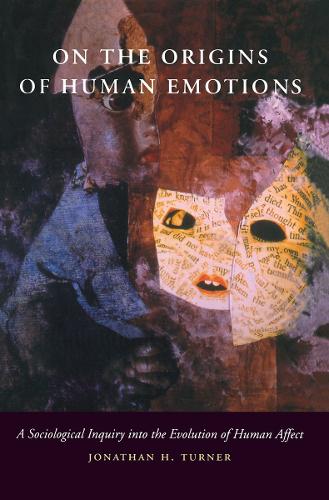 On the Origins of Human Emotions: A Sociological Inquiry into the Evolution of Human Affect (Paperback)