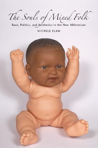 The Souls of Mixed Folk: Race, Politics, and Aesthetics in the New Millennium (Paperback)