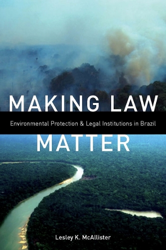 Making Law Matter: Environmental Protection and Legal Institutions in Brazil (Hardback)