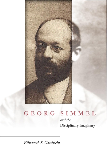 Georg Simmel and the Disciplinary Imaginary (Hardback)