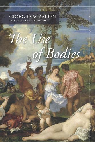 The Use of Bodies - Meridian: Crossing Aesthetics (Paperback)