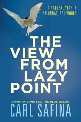 The View from Lazy Point: A Natural Year in an Unnatural World (Hardback)