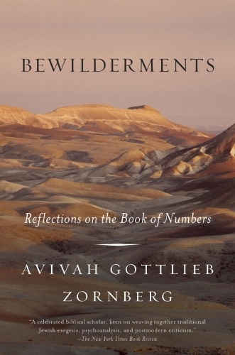 Bewilderments (Paperback)