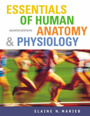 Essentials Human Anatomy Physi (Paperback)