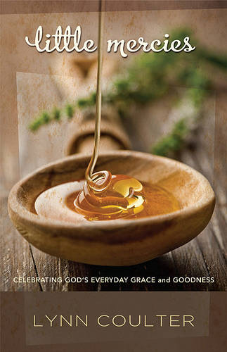 Little Mercies: Celebrating God's Everyday Grace and Goodness (Paperback)
