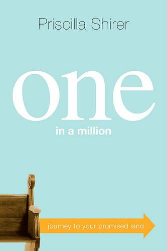 One in a Million: Journey to Your Promised Land (Paperback)