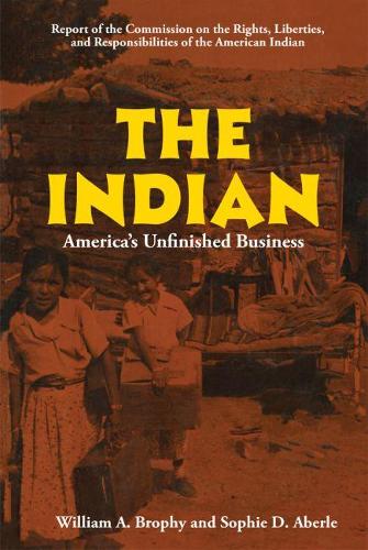 The Indian: America's Unfinished Business (Paperback)