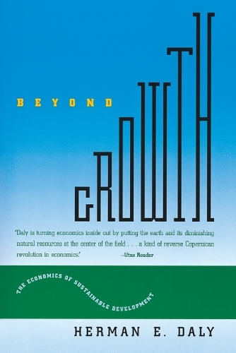 Beyond Growth (Paperback)