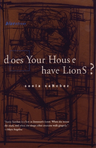 Does Your House Have Lions? (Paperback)
