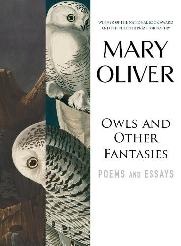 Owls And Other Fantasies (Hardback)