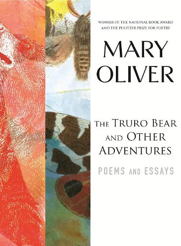 The Truro Bear And Other Adventures (Paperback)