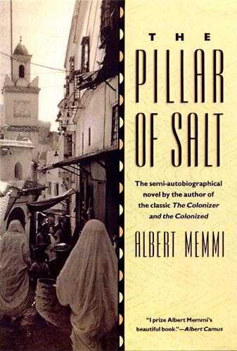 The Pillar of Salt (Paperback)