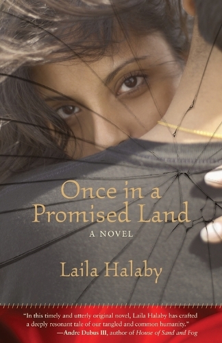 Once In A Promised Land (Paperback)