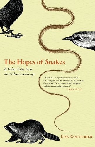 The Hopes Of Snakes (Paperback)