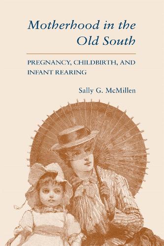 Motherhood in the Old South: Pregnancy, Childbirth and Infant Rearing (Paperback)