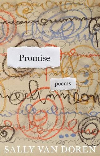 Promise: Poems (Paperback)