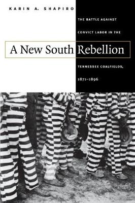 A New South Rebellion: The Battle against Convict Labor in the Tennessee Coalfields, 1871-1896 (Hardback)