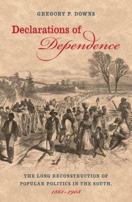 Declarations of Dependence: The Long Reconstruction of Popular Politics in the South, 1861-1908 (Hardback)
