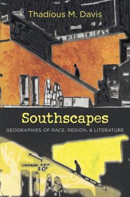 Southscapes: Geographies of Race, Region, and Literature - New Directions in Southern Studies (Hardback)