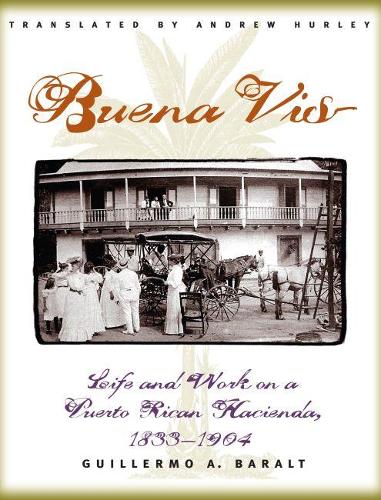 Buena Vista: Life and Work on a Puerto Rican Hacienda, 1833-1904 (Paperback)