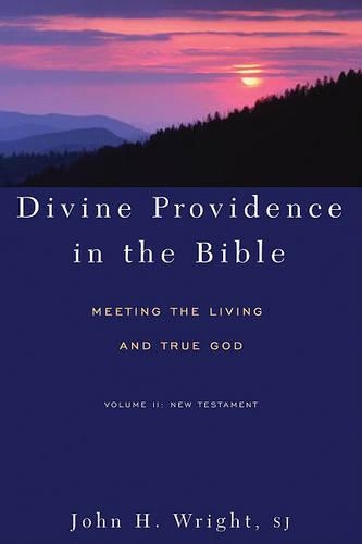 Divine Providence in the Bible: New Testament v. 2: Meeting the Living and True God (Paperback)