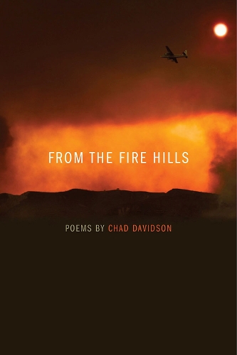 From the Fire Hills: Poems by Chad Davidson - Crab Orchard Series in Poetry-Editor's Selection (Paperback)