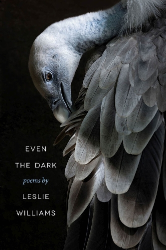 Even the Dark - Crab Orchard Series in Poetry (Paperback)