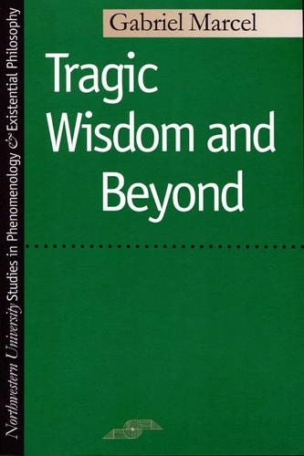 Tragic Wisdom and beyond - Studies in Phenomenology and Existential Philosophy (Paperback)