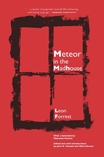 Meteor In The Madhouse (Paperback)