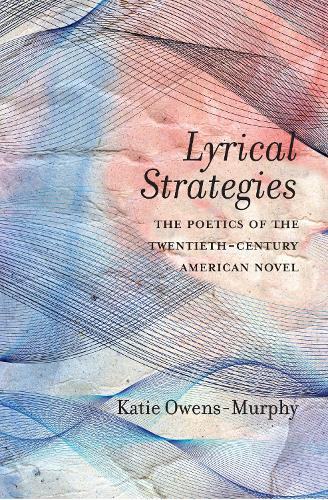 Lyrical Strategies: The Poetics of the Twentieth-Century American Novel (Hardback)