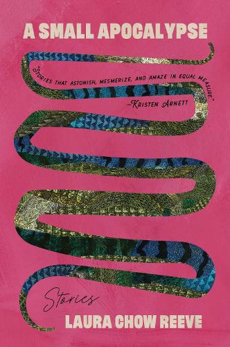A Small Apocalypse: Stories (Paperback)