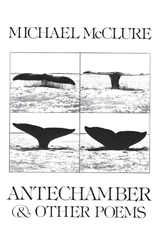 Antechamber and Other Poems (Paperback)