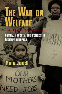 The War on Welfare: Family, Poverty, and Politics in Modern America - Politics and Culture in Modern America (Hardback)