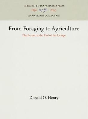 From Foraging to Agriculture: Levant at the End of the Ice Age (Hardback)