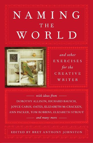 Naming The World (Paperback)