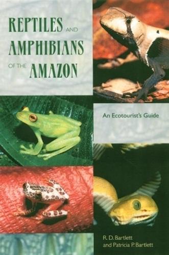 Reptiles and Amphibians of the Amazon: An Ecotourist's Guide (Paperback)