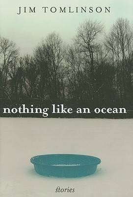 Nothing Like an Ocean: Stories - Kentucky Voices (Hardback)