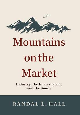 Mountains on the Market: Industry, the Environment and the South (Hardback)