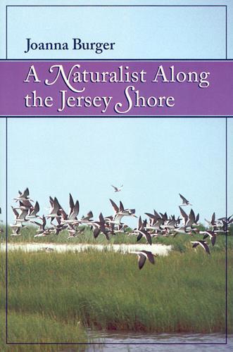 A Naturalist along the Jersey Shore (Paperback)