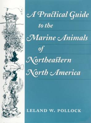 A Practical Guide to the Marine Animals of Northeastern North America (Paperback)
